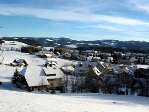 a town covered in snow with mountains in the background at Ferien Auf Dem Steingrubenhof in Sankt Peter +6 photos