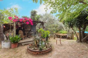 a wooden cabin with a table and pink flowers at Petite maison de bois in Banyuls-dels-Aspres