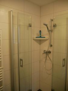 a bathroom with a shower with a glass door at Am Kiefernweg 17 in Schwielochsee