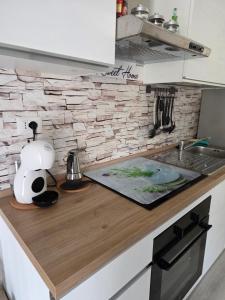 a kitchen counter with a sink and a mixer at Nido Ticino in Bernate Ticino