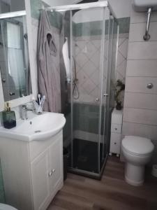 a bathroom with a shower and a sink and a toilet at Casa vacanze Bau Mela in Villanova Strisaili +12 photos