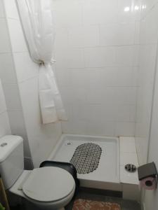 a small bathroom with a toilet and a shower at Gradina Bulgarana in Bourg-Argental +6 photos