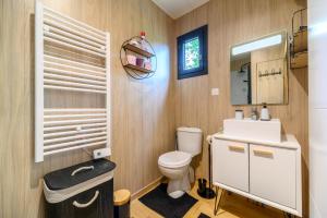 a bathroom with a toilet and a sink and a mirror at Gîte Le Pieraline - Ventron in Ventron +16 photos