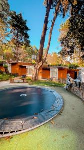 a swimming pool with two statues next to a tree at ASGARD RESORT GUATEMALA in Santiago Sacatepéquez