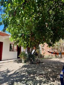 a tree in a yard next to a house at Hostal Arambulo in Villavieja