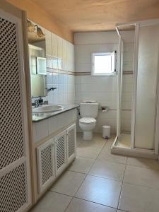 a bathroom with a toilet and a sink and a shower at La Granja in Los Llanos de Aridane +40 photos