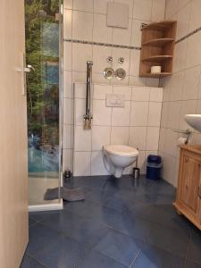 a bathroom with a toilet and a shower at Hinterbauernhof Fewo Pferdeglück in Stegen +23 photos