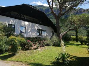 una casa bianca con un albero in giardino di Villa Pinie Apt 2 a Terlano
