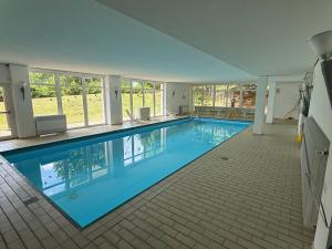 a large swimming pool with blue water in a house at Schwarzwald Residenz Hirschen in Schönwald