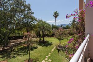 a garden with palm trees and pink flowers at Keops in Oliva