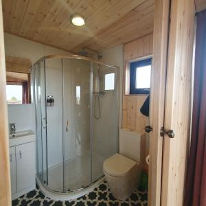 a bathroom with a shower and a toilet and a sink at The Other Wee Red Cabin in Dunvegan