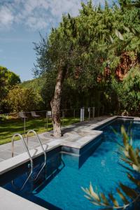 a swimming pool with a tree in the background at Al Segnavento Roccafredda in Toscolano Maderno