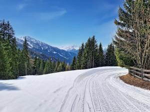 a snow covered road with trees and mountains in the background at Apartment Naviser Hütte-2 by Interhome in Navis