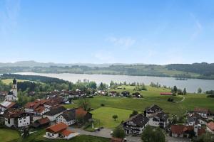 an aerial view of a town with a lake at Loft mit Seeblick – Allgäu in Petersthal