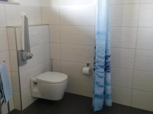 a bathroom with a toilet and a blue shower curtain at Ferienwohnung Eppler in Albstadt +25 photos