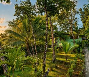 a garden with palm trees in front of a house at Casa Jade in Drake +30 photos