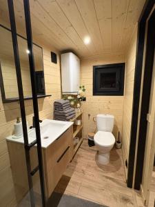 a bathroom with a toilet and a sink at ToTu Tiny House Sauna & wanna ogrodowa in Dobiesz +51 photos