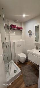 a bathroom with a shower and a toilet and a sink at Ferienwohnung Hofidylle in Münstertal +18 photos