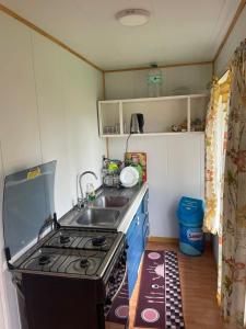 a small kitchen with a stove and a sink at Cabañas Isidora in Dalcahue