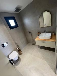 a bathroom with a sink and a toilet and a mirror at Villa Manuel in Bajkaj +18 photos