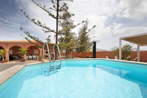a swimming pool with a tree in the background at Abundia House in Caleta De Fuste