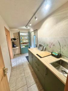 a kitchen with a sink and a refrigerator at Klein aber Fein in Gottmadingen