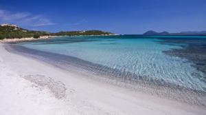 a beach with blue water and trees in the background at Casa Vacanza Sa Petra Ruja B in Siniscola