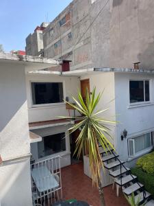 a house with chairs and a plant on a patio at Anys Hostal in Mexico City