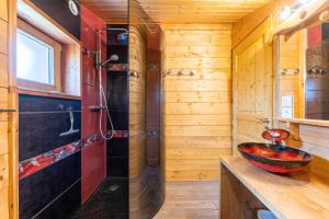 a bathroom with a shower and a red sink at Chalet Les Skieurs in Notre-Dame-du-Pré +24 photos