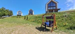 a person sitting on a swing on a hill at Dom Skomackie Wzgórze widok na jezioro in Skomack Wielki +29 photos