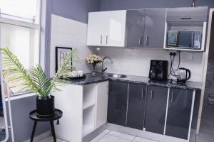 a kitchen with black and white cabinets and a plant at Bachelor suite in Rustenburg in Rustenburg