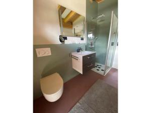 a bathroom with a toilet and a sink and a shower at Ferienwohnung Sußebach mit 80 Qm in Vöhringen +13 photos