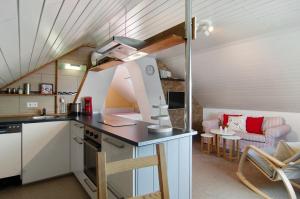 an attic kitchen and living room in a house at Joos Boardinghouse in Radolfzell am Bodensee