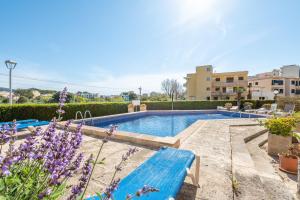 a swimming pool with a blue bench in a yard at Holytom Puerto Pollensa in Port de Pollensa
