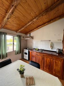 a kitchen with a table with chairs and a stove at DEPARTAMENTOS FORTIN in Trevelín