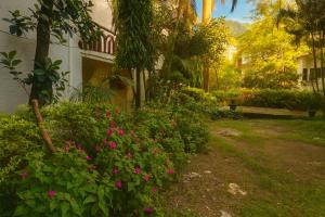 a garden with pink flowers next to a building at Oslo Green By Around Stays, Tapovan, Rishikesh in Rishīkesh