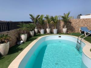 a swimming pool in a yard with palm trees at Corralejo Branded Residensed in Corralejo