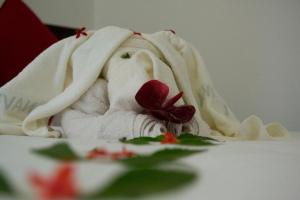 Fotografie z fotogalerie ubytování Shady mango villa v destinaci Sigiriya