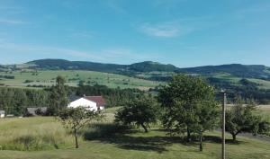 a view of a field with trees and a house at Fewo Edith in Gersfeld +12 photos