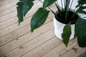 a plant in a white vase sitting on a table at the Little Oasis In Gothenburg in Gothenburg +15 photos