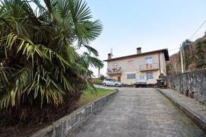 a palm tree next to a house and a driveway at Casa Elsa in Cannobio