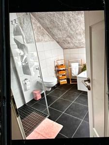 a bathroom with a shower and a toilet at Plätzchen am Krebsberg in Simmerath