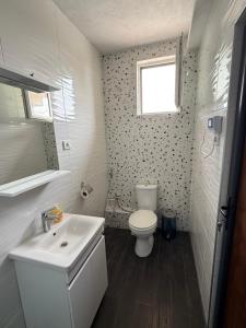 a bathroom with a toilet and a sink and a window at Apolana Apartments in Negotino