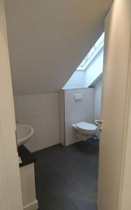a bathroom with a toilet and a sink and a skylight at Ferienwohnung Spreewald in Schlepzig