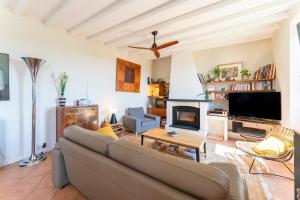 a living room with a couch and a tv at Le Sophora avec jacuzzi in Rochefort-du-Gard