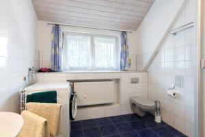 a small bathroom with a toilet and a sink at Ferienwohnung Weinbergblick in Auggen +16 photos