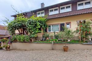 a house with lots of plants in front of it at Ferienwohnung Weinbergblick in Auggen