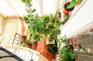a room with lots of potted plants on a wall at El Riu del Cel in Lloret de Mar
