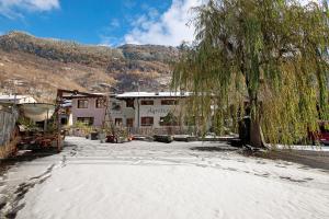 a tree in the snow next to a building at Agriturismo Quinto Quarto in Grosio