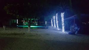 Zahrada ubytování Hotel La Arena